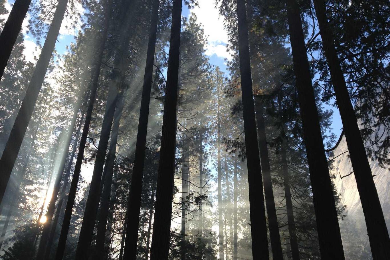 Maxime iste quia quaerat